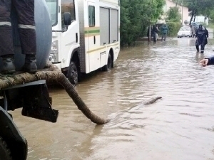 The Tashkent administration has allocated 846.5 million soums for repairing drainage systems and collectors