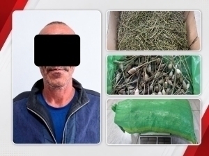 Termizda qoldirib ketilgan 2,5 kg “opiy” topildi (video)