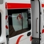 Yuqori Chirchiqda buvi va nevara zaharlanib vafot etdi