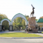 Toshkent hayvonot bog‘i ochilmoqda