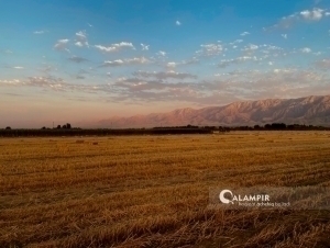 Эртага айрим вилоятларда ҳаво 30 даражагача исийди