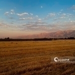 Эртага айрим вилоятларда ҳаво 30 даражагача исийди