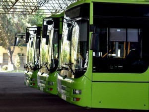 Tinted buses have started moving in Tashkent