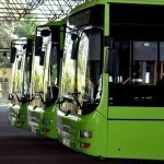 Tinted buses have started moving in Tashkent