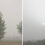 Бухорода чанг бўронлари кузатилмоқда