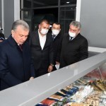 Балиқчиликка миллионлаб пул ва солиқ имтиёзлари бериляпти. Мирзиёев нимани кўзлаган?