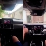 Seventh-grade student crashes father’s Kia into wall in Fergana (video)