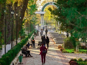 Пойтахтда яна бир яшил боғ бетонлаб ташланди(ми?)