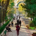 Poytaxtda yana bir yashil bog‘ betonlab tashlandi(mi?)