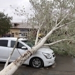 Attention: Strong winds and dust storm expected in capital today