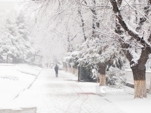 Ertaga ayrim hududlarda qor yog‘adi