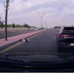 Toshkentda 9 yoshli qizni urib ketib, hayotiga nuqta qo‘ygan haydovchi qamaldi
