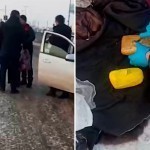 11,4 kg giyohvand moddalarining noqonuniy aylanmasiga chek qo‘yildi (video)
