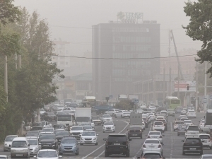 Special commission established in Tashkent following toxic dust concerns
