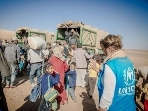 BMT ehtiyoj ortganiga qaramay, yordam so‘rovini qisqartirdi