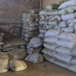 “Уятли одат”. Туркистондаги уйдан 2 тонна носвой топилди (видео)