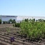 Agriculture Ministry issues heat safety guidelines for field workers