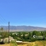 Bugun havo 30 darajagacha isiydi