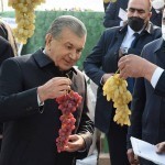 Мева-сабзавотчиликни кредитлашнинг янги тизими жорий қилинади