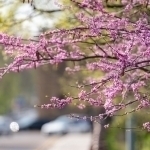 Dam olish kunlarida qanday ob-havo kuzatiladi?