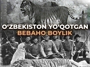 O‘zbekiston yo‘qotgan bebaho boylik. Turon yo‘lbarsi yo‘q qilinganiga 60 yildan oshdi