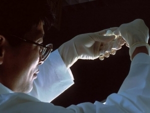 Олимлар умрни 150 йилгача узайтирадиган дори ишлаб чиқди