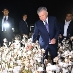Шавкат Мирзиёев Олтинкўлдаги пахта даласига борди