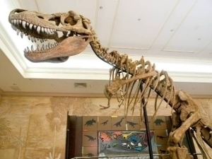 Boylar millionlab dollarga dinozavrlar skeletini sotib olishni boshladi