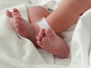 Оналарга ҳар бир туғилган бола учун 1300 доллар берилади. Арманистонда!