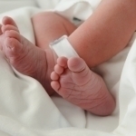 Оналарга ҳар бир туғилган бола учун 1300 доллар берилади. Арманистонда!