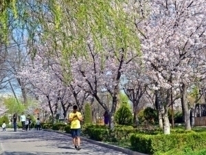 Дам олиш кунларида қандай об-ҳаво кузатилади?