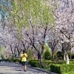 Дам олиш кунларида қандай об-ҳаво кузатилади?