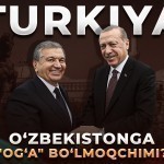Туркия Ўзбекистонга “оға” бўлмоқчими? Анқарадаги саммит қандай сигнал берди?
