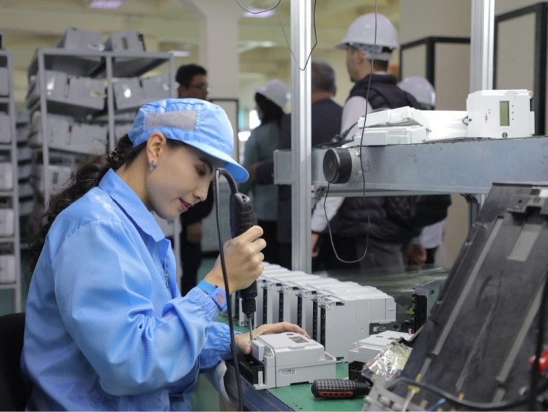 Davlat ishtirokidagi korxonalarni tashkil etishga moratoriy joriy qilinadi