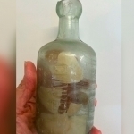 Avstraliyada xat solingan 100 yillik shisha idish topildi