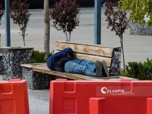 Дунёда қанча бекорчи борлиги айтилди