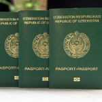 O‘zbekistonga bugungi kunda qo‘shfuqarolik kerakmi?