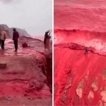 “Qonli yomg‘ir”: Erondagi orolda noyob hodisa kuzatildi (video)