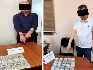 P2P o‘tkazmasidagi qonunbuzarlik ortidan tadbirkordan pora undirgan soliqchi ushlandi