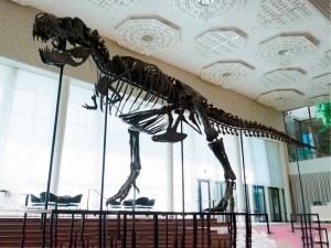 65 миллион йиллик динозавр скелети кутилганидан арзонга сотилди
