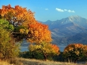 Temperature to rise to 22°C tomorrow