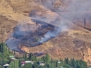 Fire breaks out in Bostanlyk forest