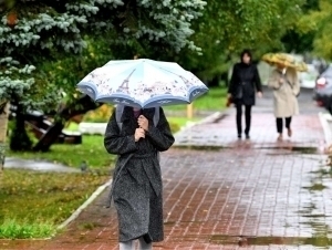 Эртага айрим жойларда ёмғир ёғади