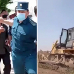 Qibrayda 9 gektar yerdagi pishgan qulupnay dalasi buldozerda payhon qilindi (video)