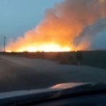 Toshkent viloyatida 3 gektar yer maydoni alanga ichida qoldi