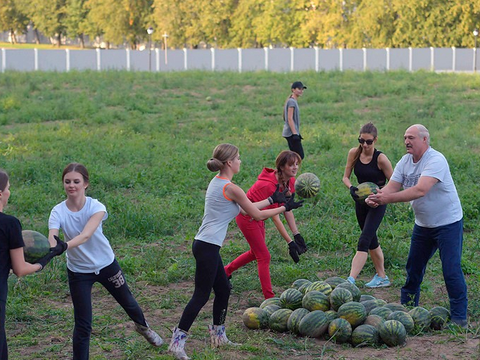 Лукашенко Мирзиёев юборган уруғлардан қовун етиштирди