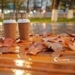 Ertaga ba’zi joylarda yomg‘ir yog‘adi