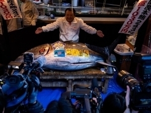 Японияда балиқ 3,2 млн долларга сотилди