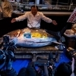 Yaponiyada baliq 3,2 mln dollarga sotildi