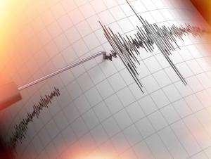 Афғонистонда содир бўлган зилзила Ўзбекистонда сезилди